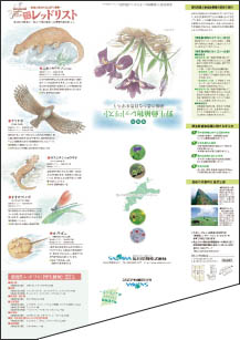 ケース表面の開いた状態の画像