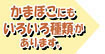 かまぼこにはいろいろな種類があります。