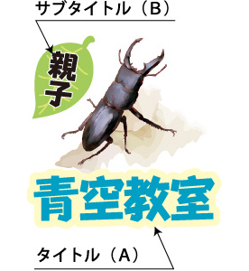 エプロンサンプルデザイン-青空教室