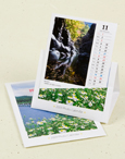 写真集カレンダーのイメージ画像