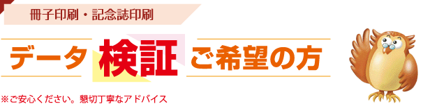 データ検証希望の方の作成フロー