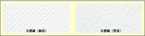 五感紙
