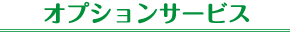 オプションサービス
