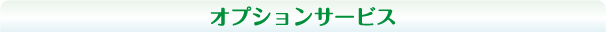 オプションサービス