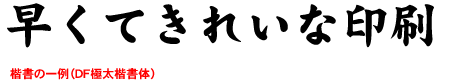 楷書体：例
