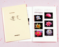 記念誌印刷事例-画像