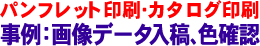 パンフレット印刷・カタログ印刷-事例：画像データ入稿、色確認